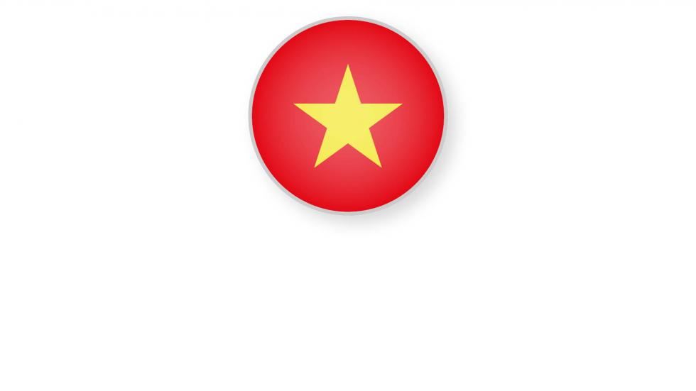 越南国旗